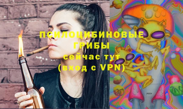 MESCALINE Няндома