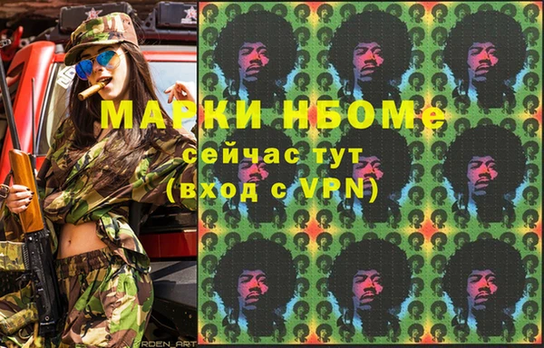 твердый Снежногорск